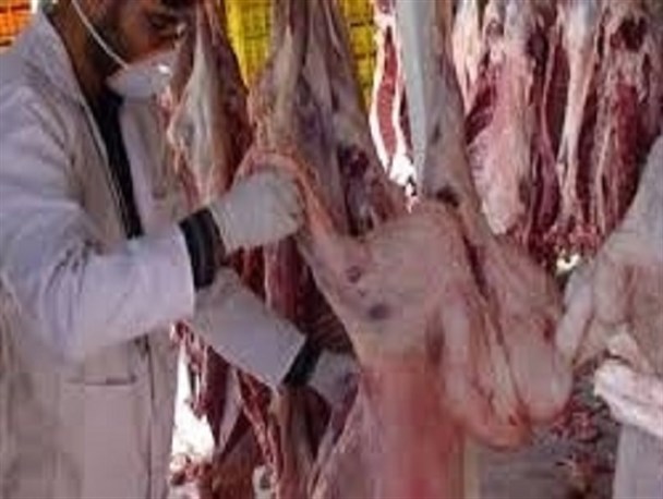 بازرسی از ۱۳۰۰ واحد عرضه فرآورده های خام دامی در اراک با دو نیرو