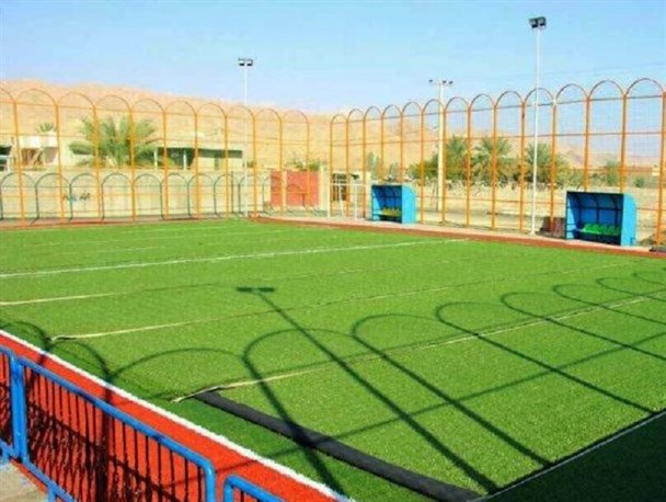 اختصاص 10 میلیارد ریال به توسعه ورزش روستایی ملکشاهی