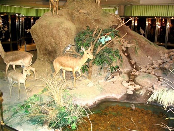 کدام موزه ­های اهواز را بگردیم؟