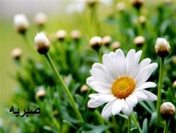 نکات ضروری که در آغاز زندگی لازم است