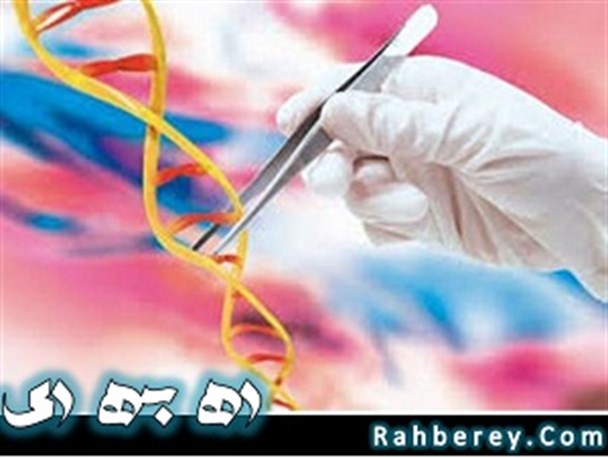 برگزاری جلسات آموزشی مقابله با بیماری های واگر در شهرستان ری + تصاویر