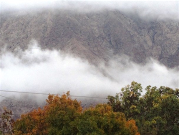 گزارش تصویری/ طبیعت زیبای پاییزی در میامی