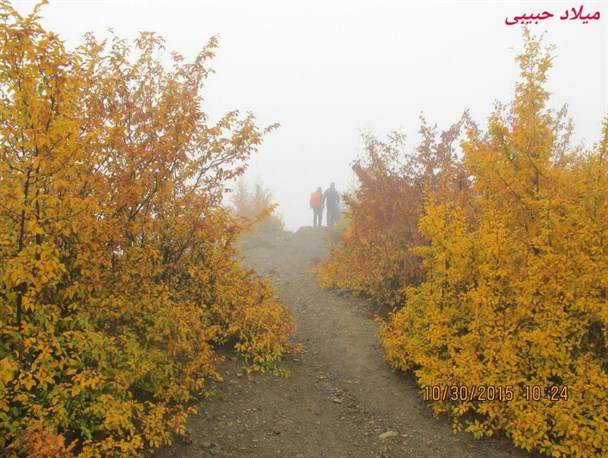 طبیعت زیبای پاییزی بومهن