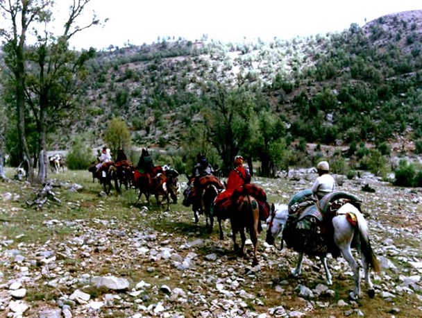 آغاز کوچ پاییزه عشایر فارس