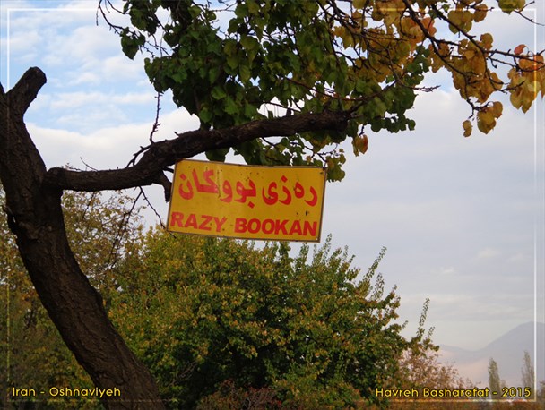 طبیعت پاییزی اشنویه به روایت تصویر
