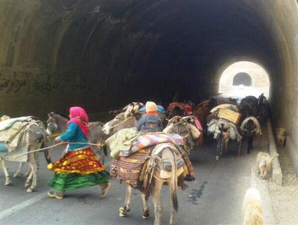 طنین پرصلابت کوچ عشیاربختیاری از جاده دزپارت هنوز به گوش می رسد+تصویر