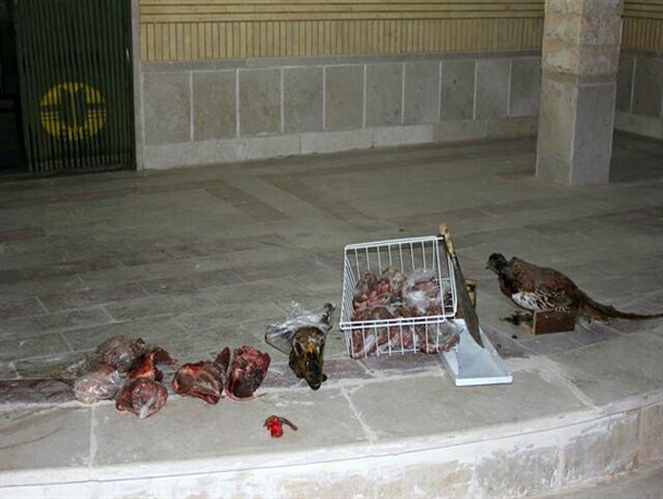 انهدام دو باند شکارچیان غیرمجاز در سرخس+ تصاویر