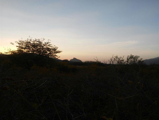تصاویری زیبا از طبیعت پاییزی روستای اسلامیه تفت
