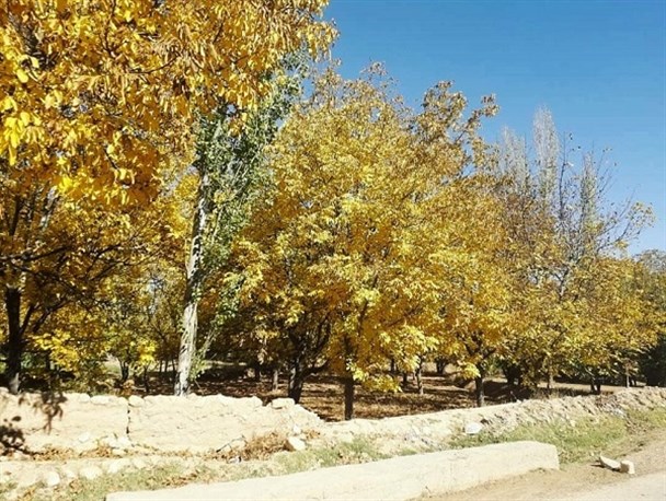 طبعیت پاییزی روستای مایوان فاروج