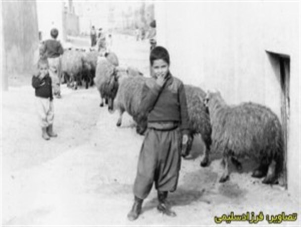 تصاویر/ درسالروز شهادت مهدی زین الدین,حاشیه جنگ تحمیلی درکردستان