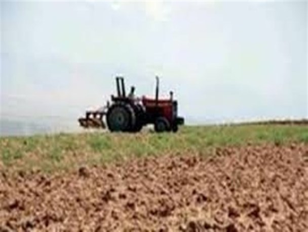 بیش از ۵۷۰ هزار هکتار از اراضی استان کرمانشاه زیرکشت پاییزه رفت