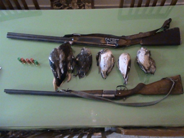 ۵ شکارچی متخلف در شهرستان کلیبر دستگیر شد