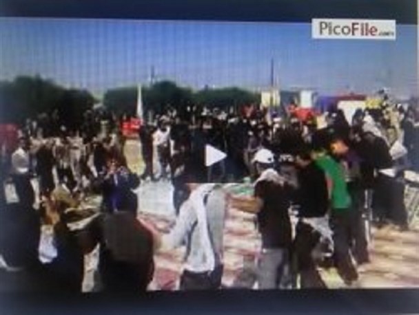عزاداری سنتی چرامی ها در کربلای معلی + فیلم
