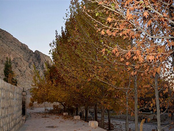 پاییز هزار رنگ «سیدان» در چند قدمی زمستان