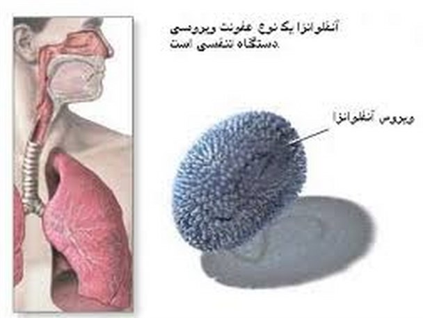 از علائم آنفولانزا تا راههای انتقال و درمان بیماری/ تاثیر تزریق واکسن آنفولانزا