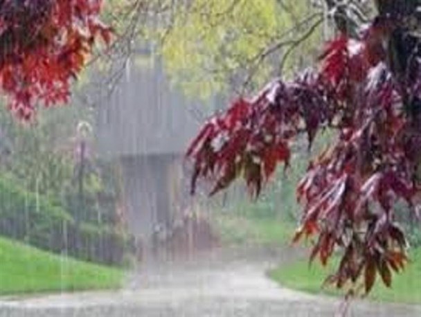 تداوم بارش باران وسرما در خواف