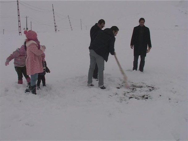 دانه پراکنی به پرندگان در روزهای برفی زمستان
