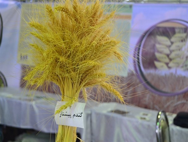نمایشگاه هفته پژوهش در یاسوج+تصاویر