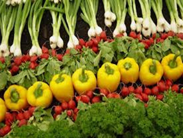 ارائه کودهای سازگار با محیط زیست در جهاد دانشگاهی بجنورد