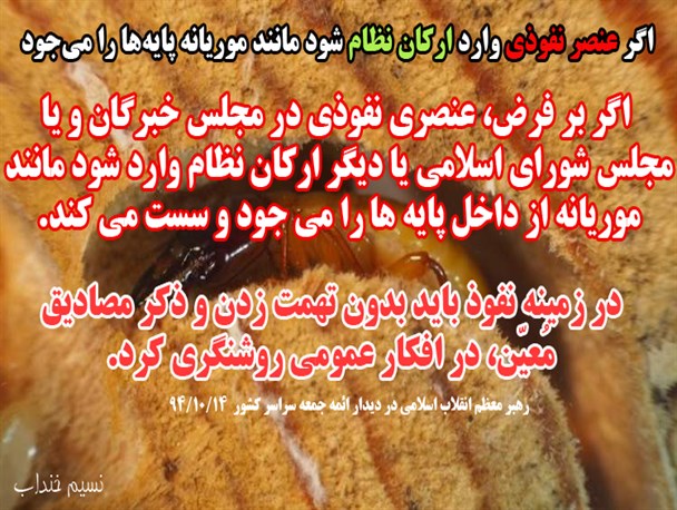 اگر عنصر نفوذی وارد ارکان نظام شود مانند موریانه پایه‌ها را می‌جود