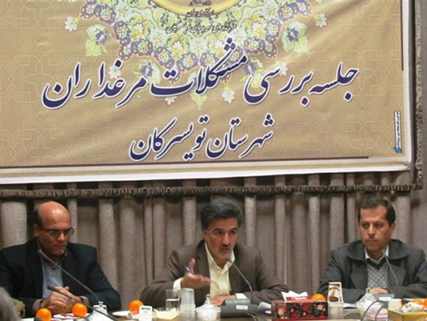 تولید بیش از 60 درصد گوشت مرغ استان همدان در تویسرکان