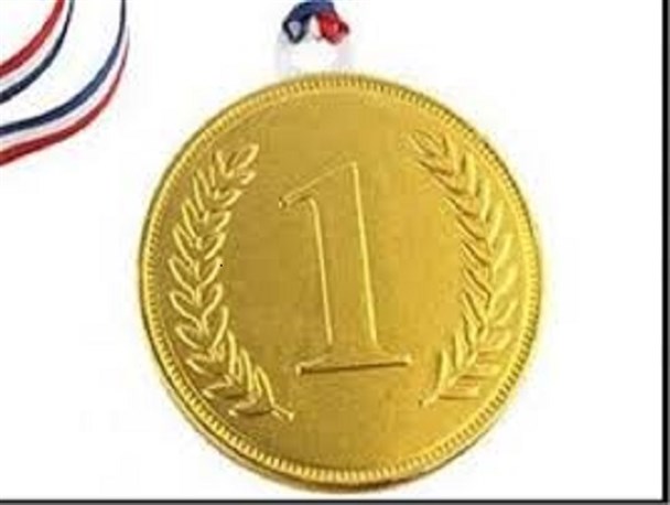 ۱۲مدال طلا حاصل تلاش دختران ووشو کار کرمانی