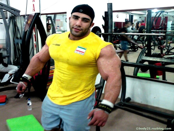 یک شوق بین المللی جدید/ قویدل زینت بخش مکس فارمد