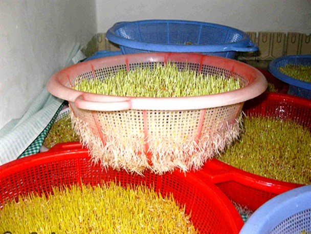 نذر سمنوپزی + تصاویر