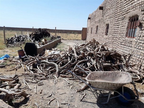 دستگیری باند قاچاق زغال تاغ در خلیل آباد