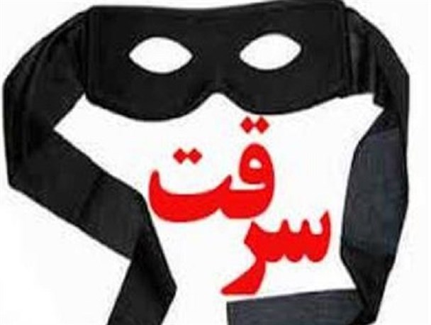 دزدان حرفه ای آرایشگاه های زنانه زاهدان دستگیر شدند/ ۵ تن از اعضای یک خانواده سارق از آب در آمدند