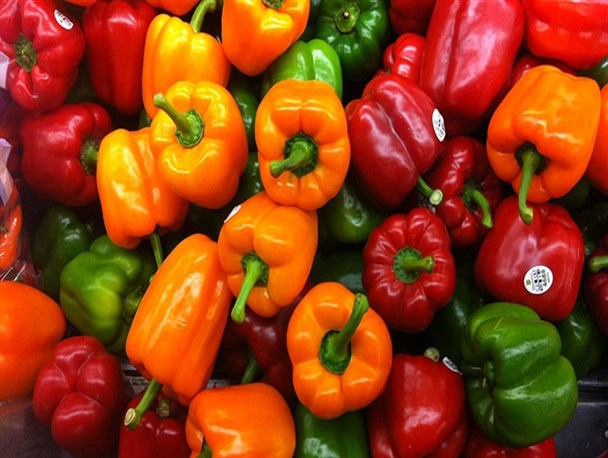 فلفل دلمه‌ای ایران مرغوب‌ترین فلفل از لحاظ کیفیت است/ دولت باید هرچه زودتر مشکل گلخانه‌داران را رفع کند