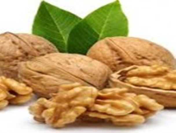 ۸۰ درصد محصول گردو بردسیر از بین رفته است