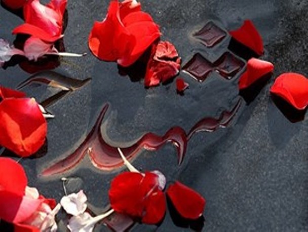 شبی که پسرم شهید شد خواب شهادتش را دیدم