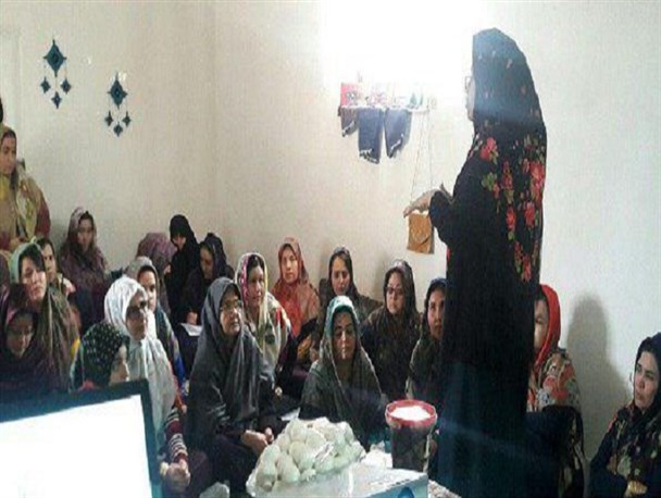 کارگاه آموزشی کسب و کار ویژه بانوان کارآفرین در بندرترکمن