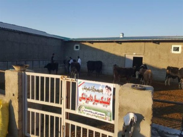 راه اندازی کلینیک سیار دامپزشکی در میاندوآب + تصاویر