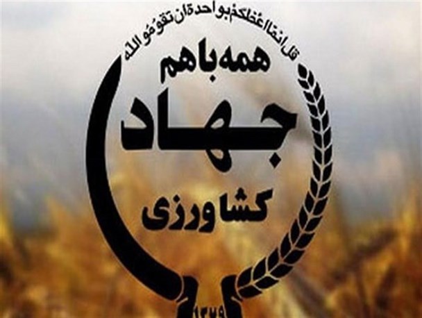 اجرای پروژه کاداستر در سطح ۲۷۰ هزار هکتار از اراضی استان زنجان