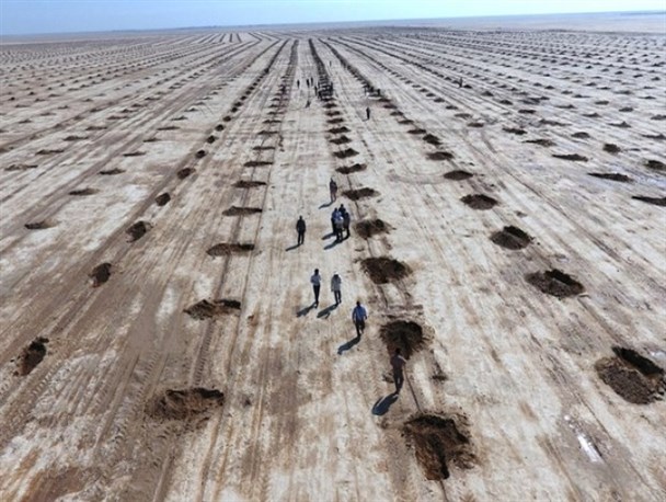 تشکل‌های مردم نهاد موتور محرک نهضت سبز در خوزستان باشند/ هوای شهر اهواز اغلب مواقع ناسالم است