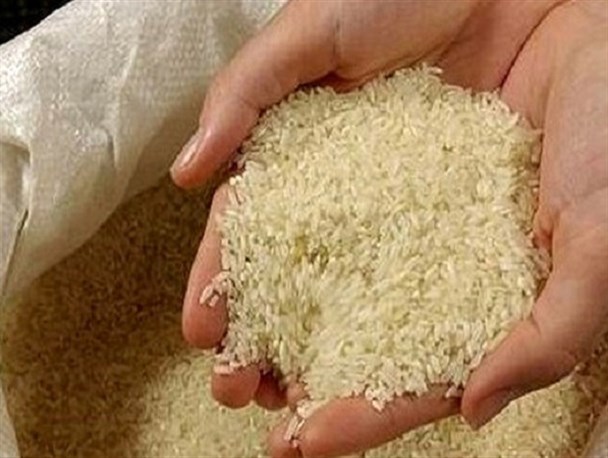 فروش اینترنتی دو مدل برنج با قیمت دولتی از امروز