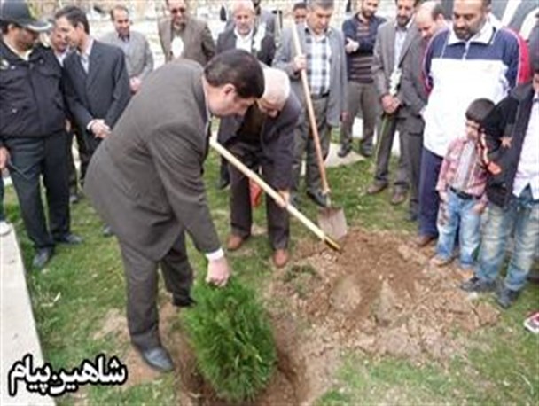 مراسم روز درختکاری درشاهین دژ+تصاویر