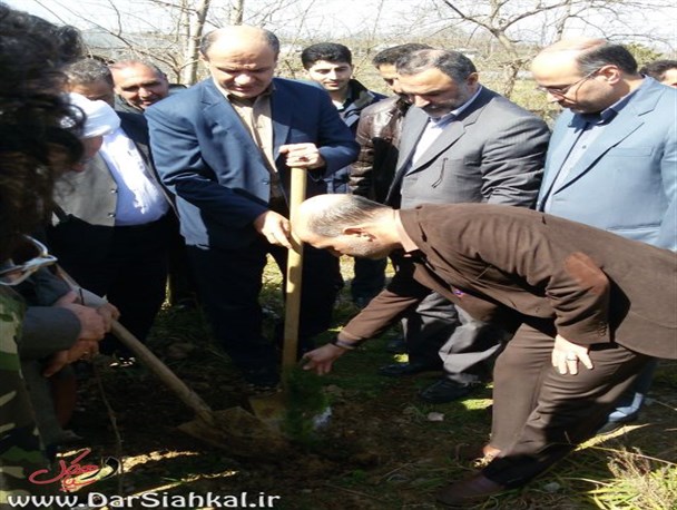 جشن درختکاری در دبیرستان شبانه روزی نرجس سیاهکل برگزار شد+گزارش تصویری