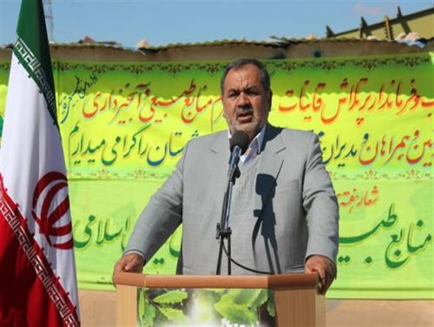 یک درخت درخراسان جنوبی به اندازه یک هکتار ازجنگل های شمال ارزش زیست محیطی دارد