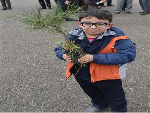 مراسم درختکاری توسط دانش‌آموزان تنکابنی برگزار شد