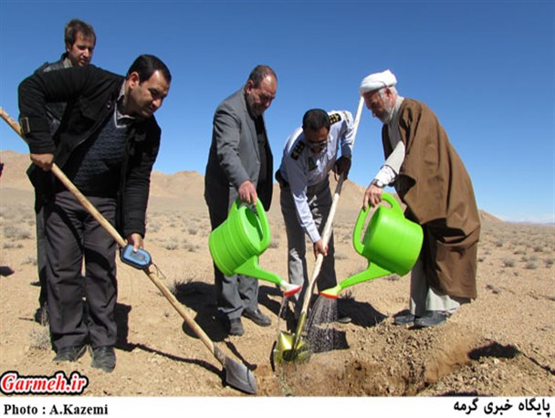کاشت نهال در بیابان‌های اطراف شهر درق / تصاویر