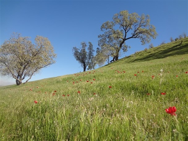 طبیعت زیبای شلالدون باشت + تصاویر