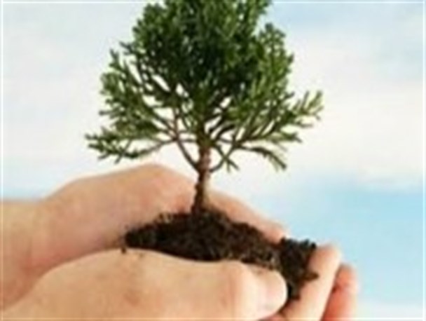 ورود نهال از استان های همجوار ممنوع است
