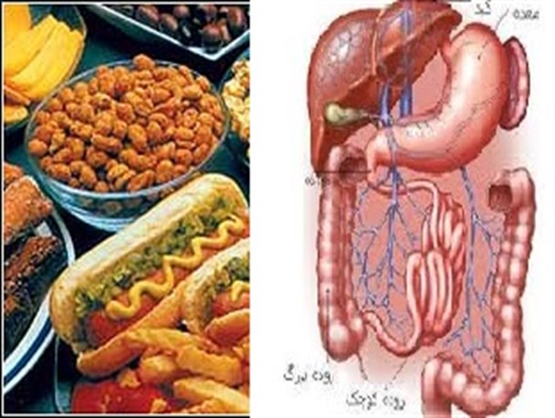 علل شایع بیمارهای گوارشی ،استرسها و محرک های عصبی است