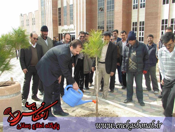 مراسم ویژه ایام درختکاری در دانشگاه آزاد بناب+تصاویر