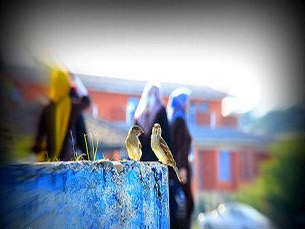 کجای کار می لنگه؟!