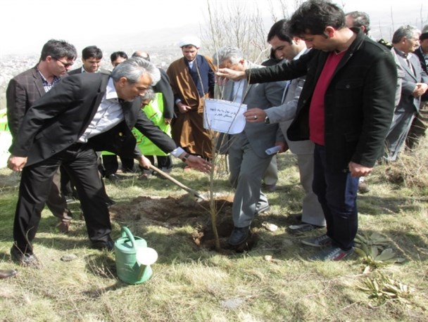 کاشت نهال به یاد شهدا در نیر