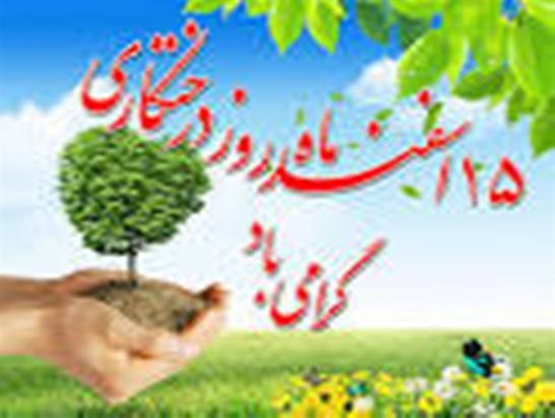 تخریب محیط زیست برای انسان خطر آفرین است/ لزوم ترویج فرهنگ درختکاری و حفاظت از آن